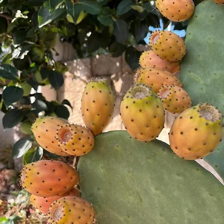 Il Trullo Di Mattia בית נופש